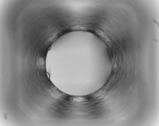 X0000093240669200710241256