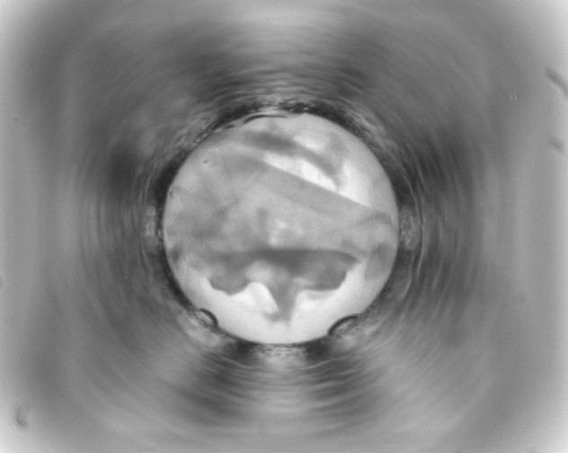 X0000093240670200710241256