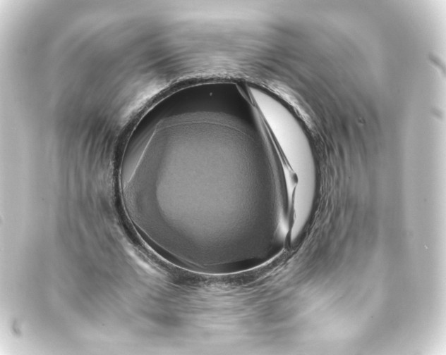 X0000093240677200710241256