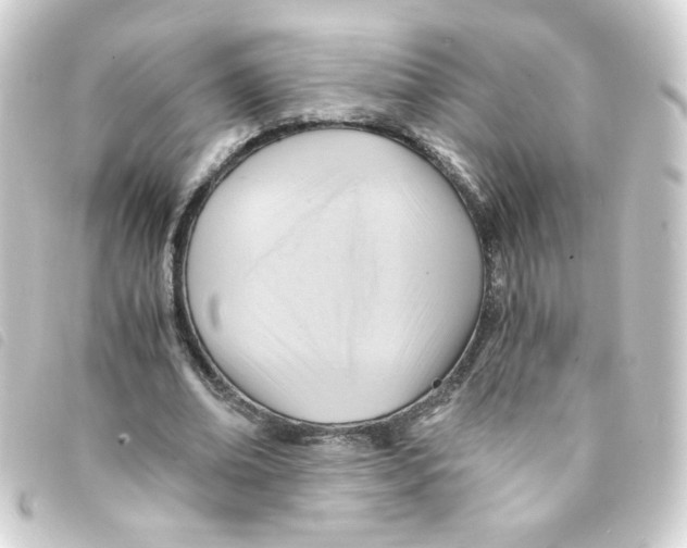 X0000093240678200710241256