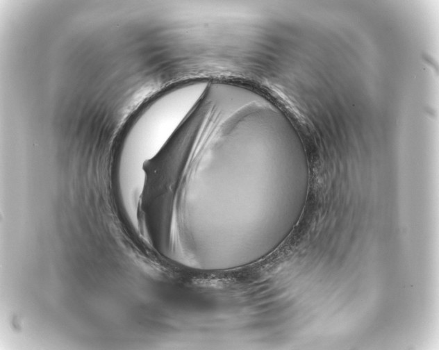 X0000093240679200710241256