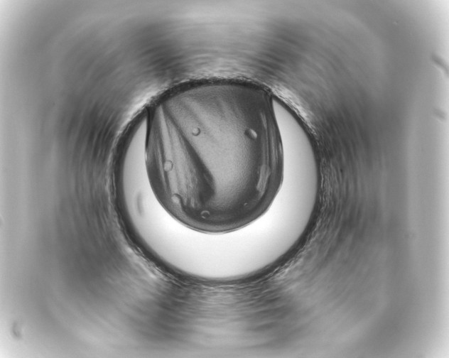 X0000093240680200710241256