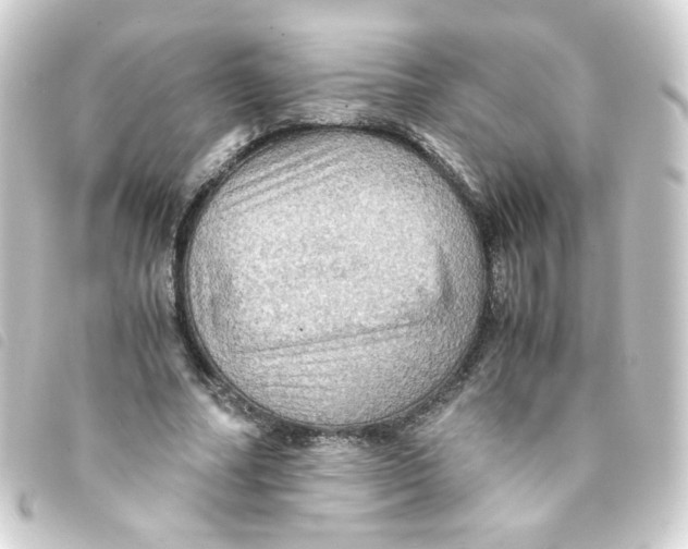 X0000093240682200710241256