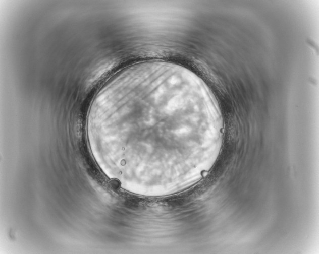 X0000093240683200710241256