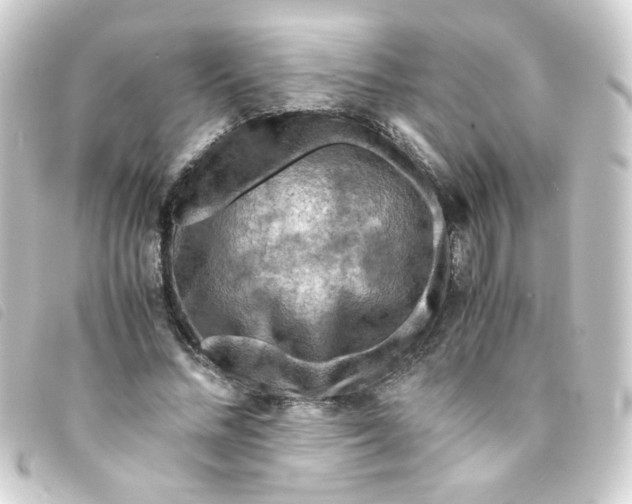 X0000093240684200710241256