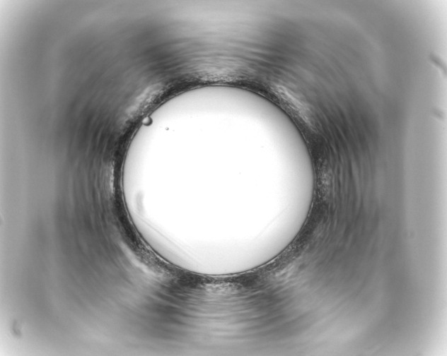 X0000093240686200710241256