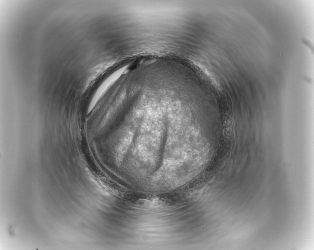 X0000093240688200710241256