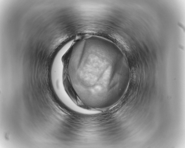 X0000093240692200710241255