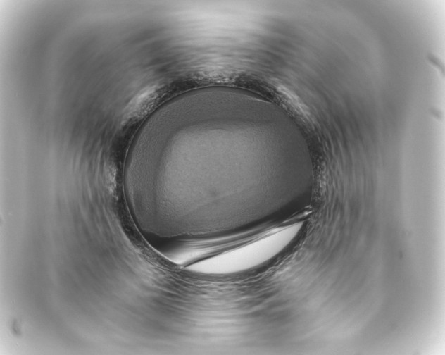 X0000093240693200710241255