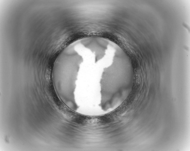 X0000093240695200710241255