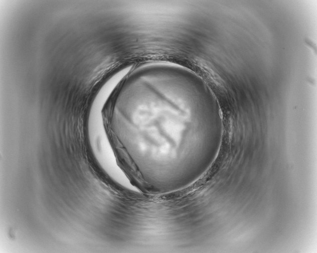 X0000093240696200710241255