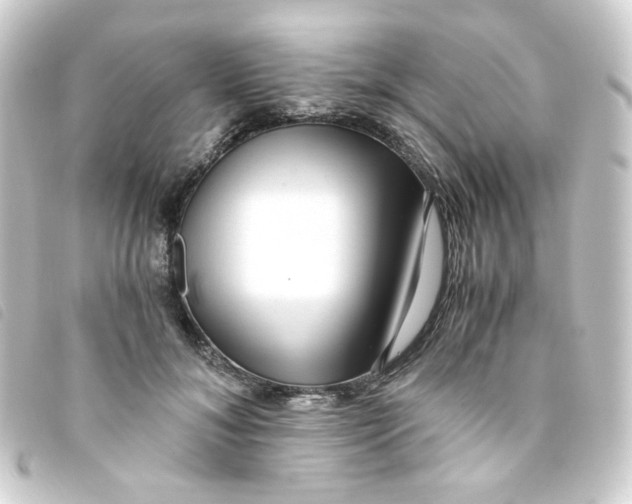 X0000093240700200710241255