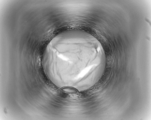 X0000093240703200710241255