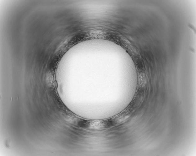 X0000093240705200710241255