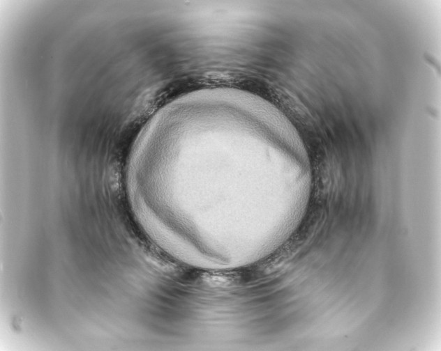 X0000093240706200710241255