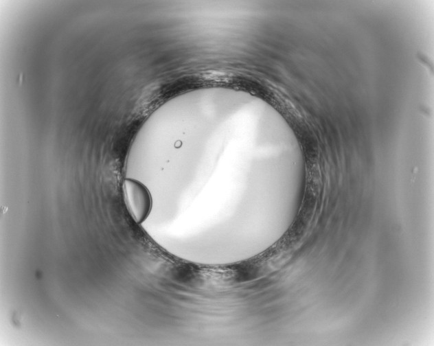 X0000093240707200710241255