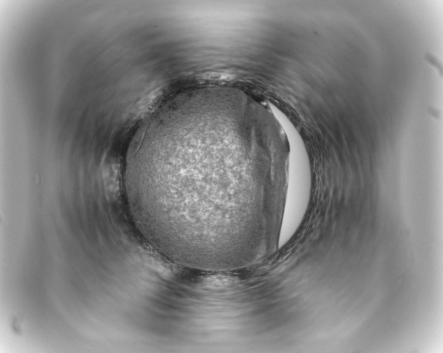 X0000093240708200710241255