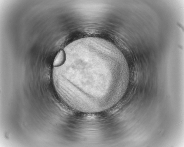 X0000093240710200710241255