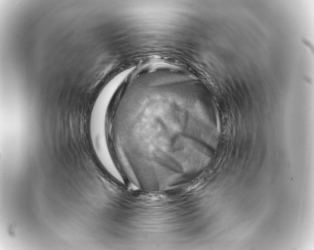 X0000093240712200710241255