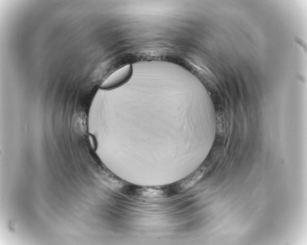 X0000093240718200710241255