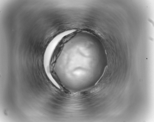 X0000093240720200710241255