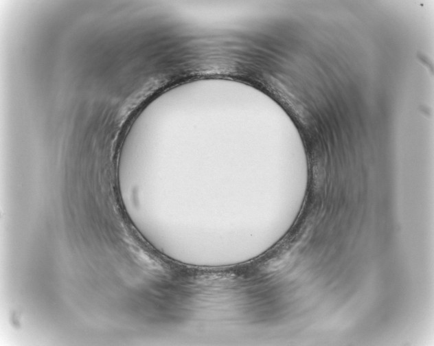 X0000093240721200710241254