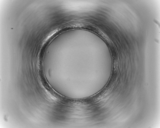 X0000093240722200710241254