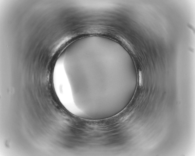 X0000093240723200710241254