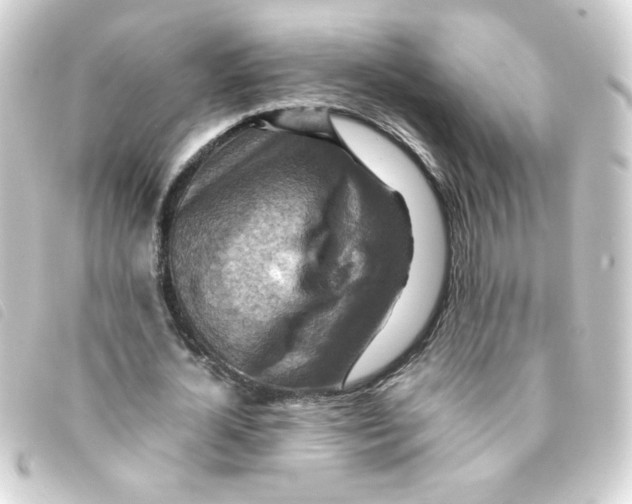 X0000093240724200710241254