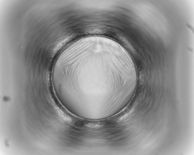 X0000093240725200710241254