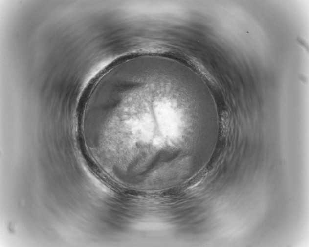 X0000093240726200710241254