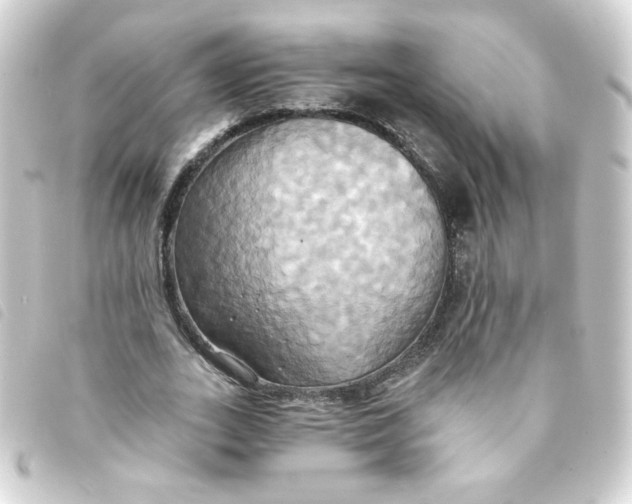 X0000093240727200710241254