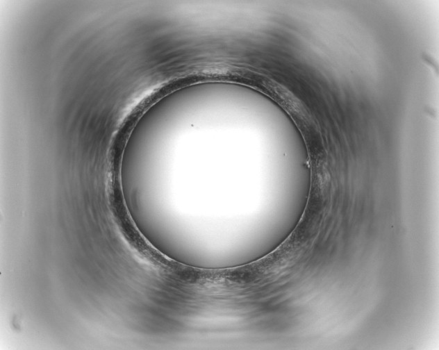 X0000093240728200710241254