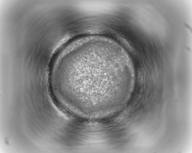 X0000093240730200710241255