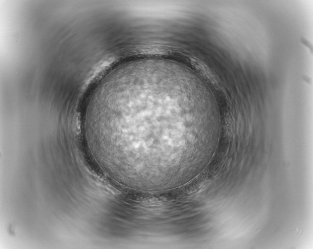 X0000093240731200710241255