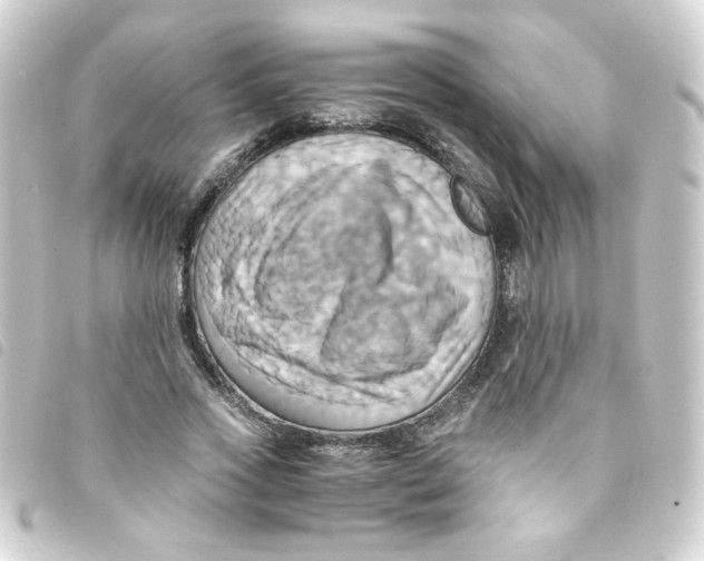 X0000093240733200710241255