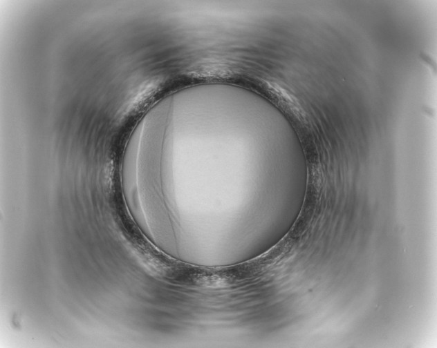 X0000093240735200710241255