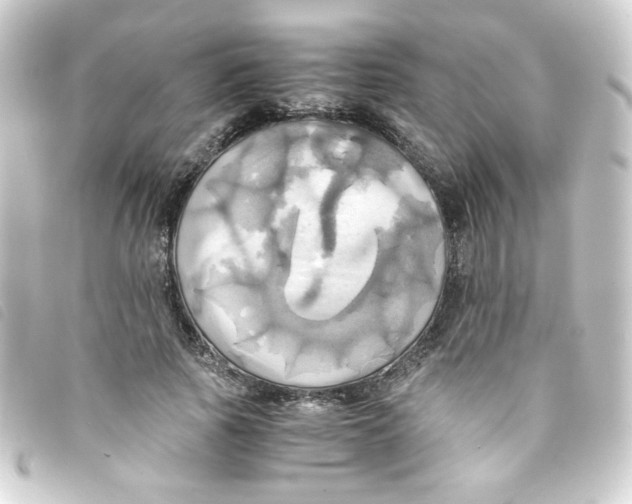 X0000093240737200710241255