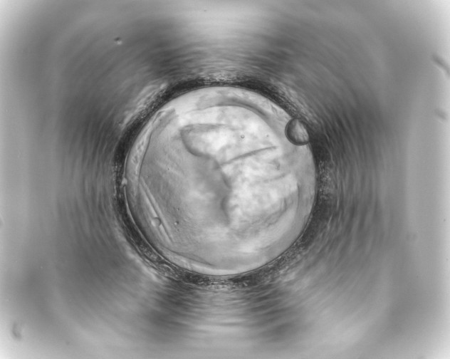 X0000093240738200710241255