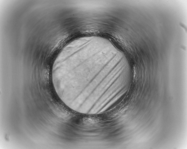 X0000093240739200710241255