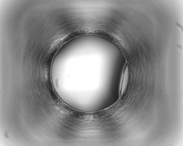 X0000093240740200710241255