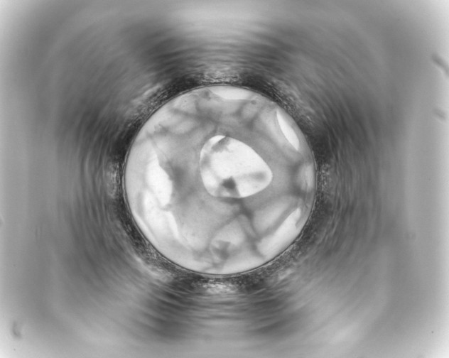 X0000093240741200710241255