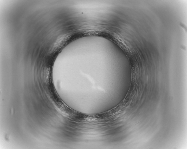 X0000093240742200710241255