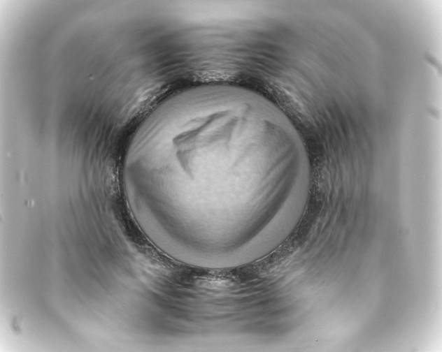 X0000093240743200710241255