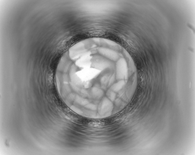 X0000093240745200710241255