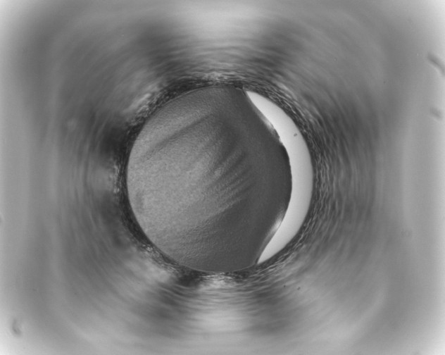 X0000093240750200710241255