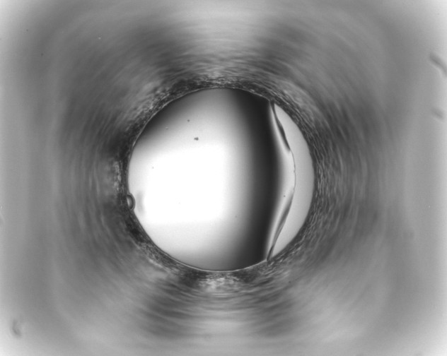 X0000093240752200710241255