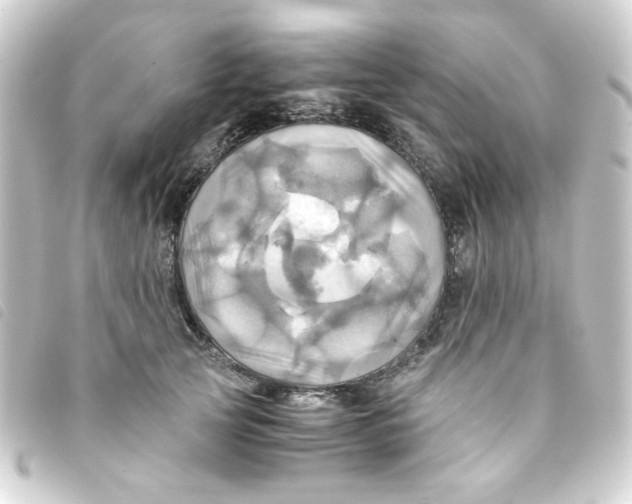 X0000093240753200710241255