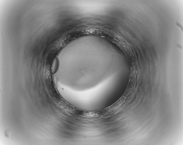 X0000093240754200710241255