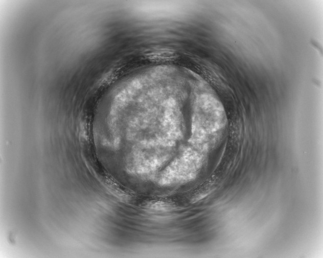 X0000093240755200710241255